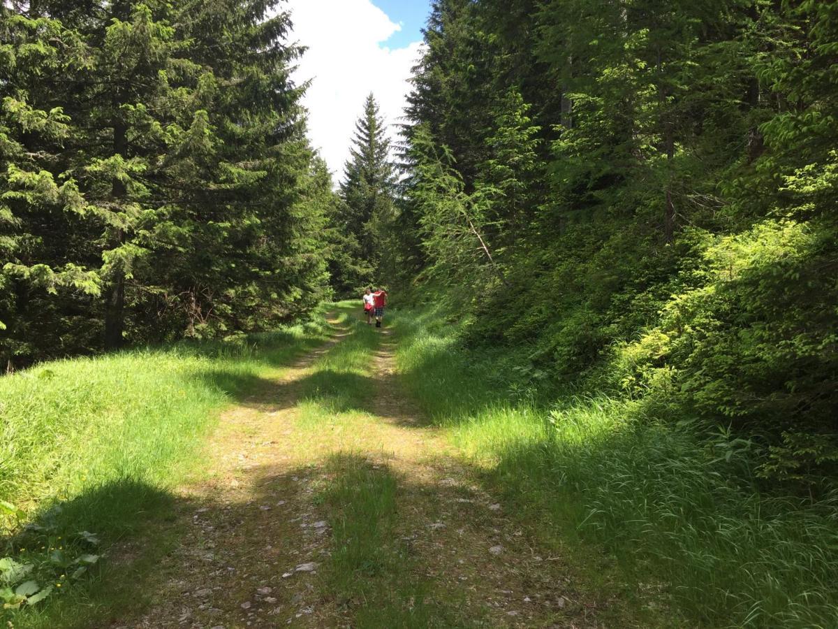 Ferienwohnungen Bianca Hasler - Stallbauer Pusterwald Exteriör bild