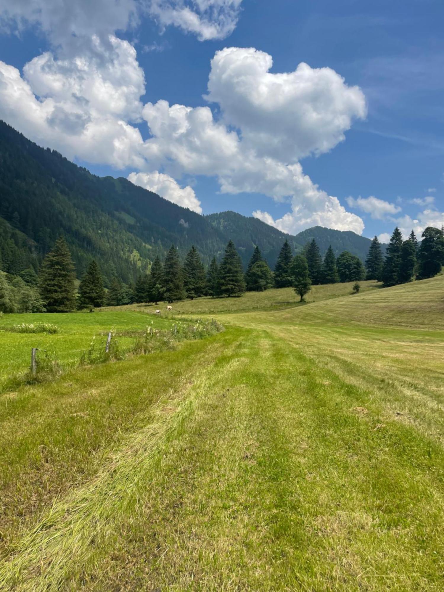 Ferienwohnungen Bianca Hasler - Stallbauer Pusterwald Exteriör bild